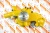 6209-61-1100 Насос водяной Помпа для Komatsu PC200-6, S6D95 Взаимозаменяемые номера: 6209611100